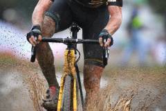 BELGAIMAGE-140612683